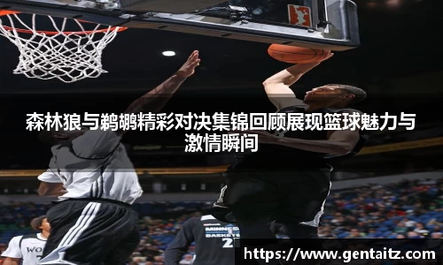 森林狼与鹈鹕精彩对决集锦回顾展现篮球魅力与激情瞬间
