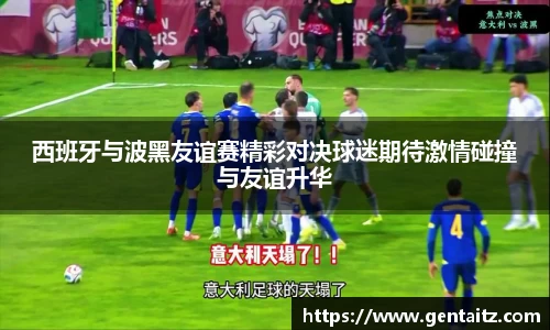 西班牙与波黑友谊赛精彩对决球迷期待激情碰撞与友谊升华